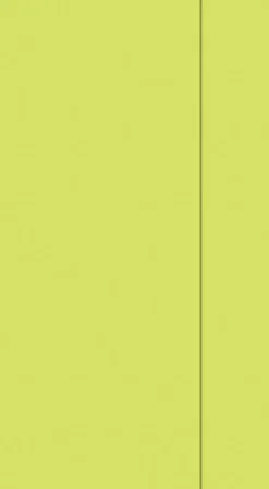 Tissue-Serviette für Spender 33 x 32 cm Kiwi 1-lagig